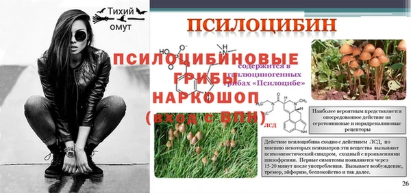 мдма Ельня
