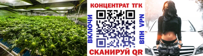 ТГК гашишное масло  mega вход  Ярославль  наркошоп 