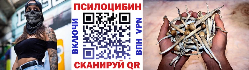 Галлюциногенные грибы прущие грибы  Ярославль 